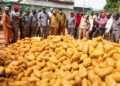 CUSTOMS INTERCEPTS N5BN ‘GHANA LOUD’, OTHER CONTRABAND IN OGUN STATE.