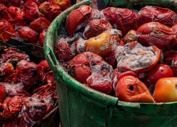LAGOS STATE GOVERNMENT CAUTIONS CONSUMERS AGAINST BUYING ROTTEN TOMATOES.