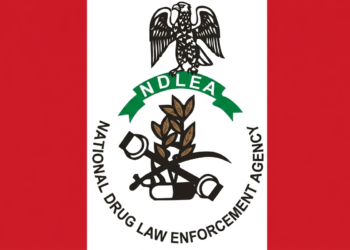 NDLEA UNCOVERS 498KG CANNABIS HIDDEN IN EDO STATE SHRINE