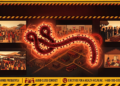 DANGER SPOTS FOR EBOLA FEVER INFECTION.