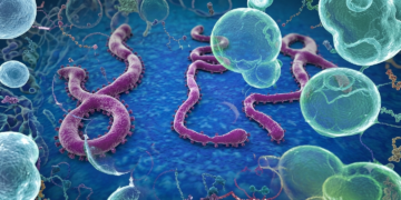 DANGER SPOTS FOR EBOLA FEVER INFECTION.
